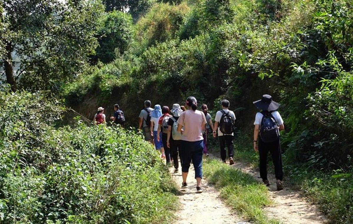 Heritage Walk & Short Hike